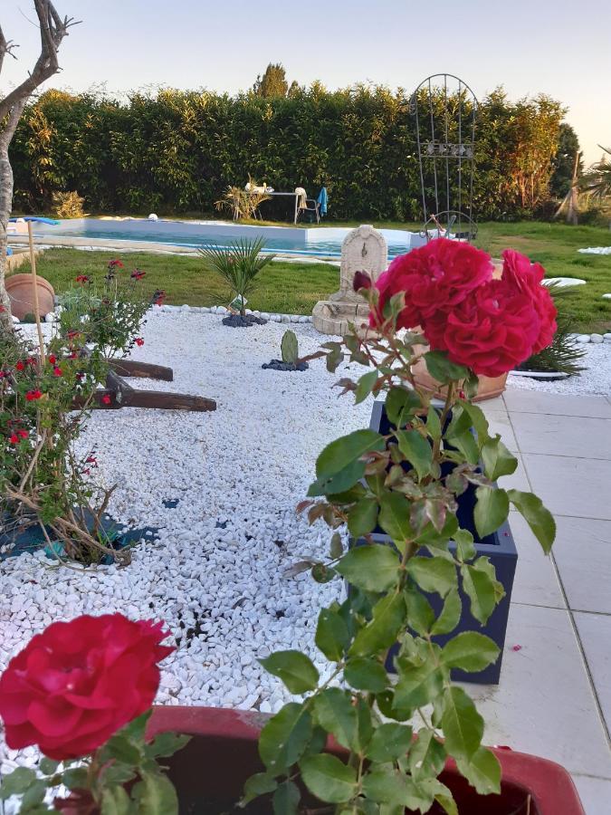 Petit Coin De Detente Seyresse Экстерьер фото